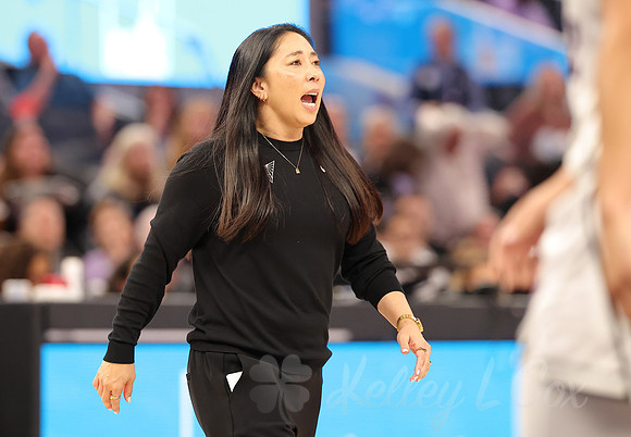 WNBA: Phoenix Mercury at Golden State Valkyries