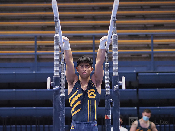 Noah Newfeld