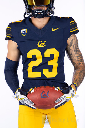 23