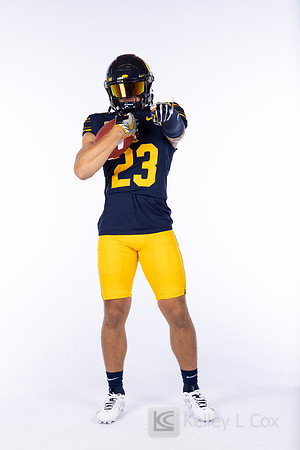 23