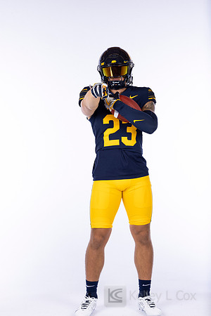 23