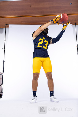23