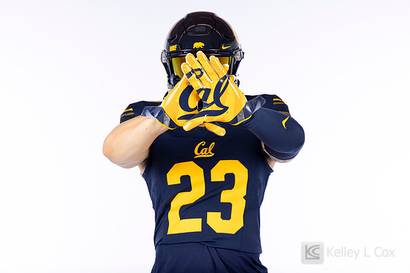 23