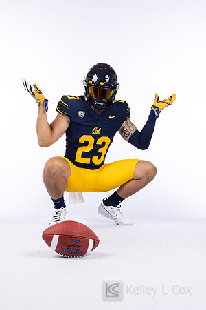 23