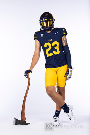 23
