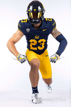 23