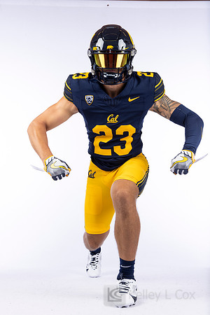 23