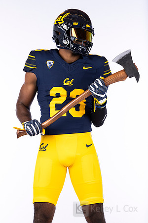 23