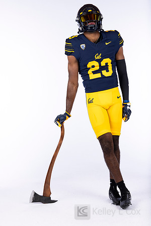 23