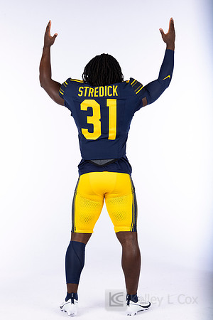 Ashton Stredick (31)