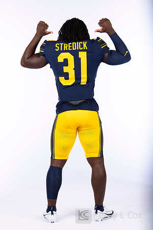Ashton Stredick (31)