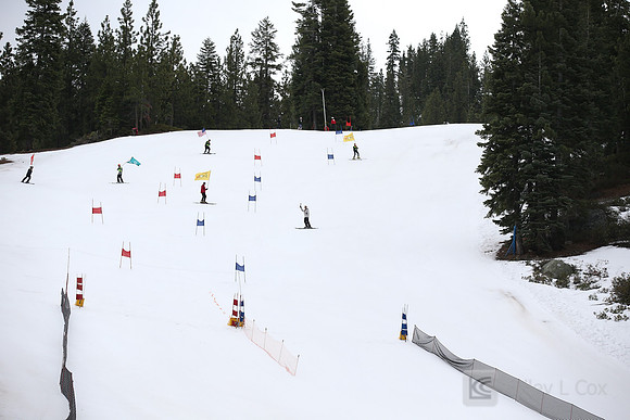 SONC 2015 Winterfest