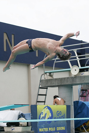 Cal Men's Swimming and Diving vs Stanford