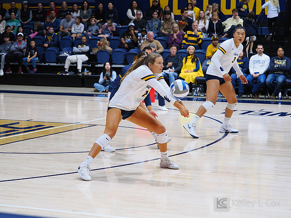 Volleyball: California Golden Bears vs Notre Dame Fighting Irish