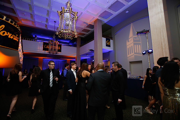 Blue and Gold Bash