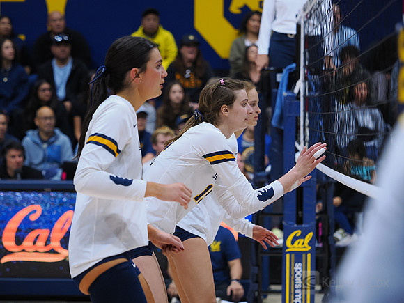 Volleyball: California Golden Bears vs Notre Dame Fighting Irish