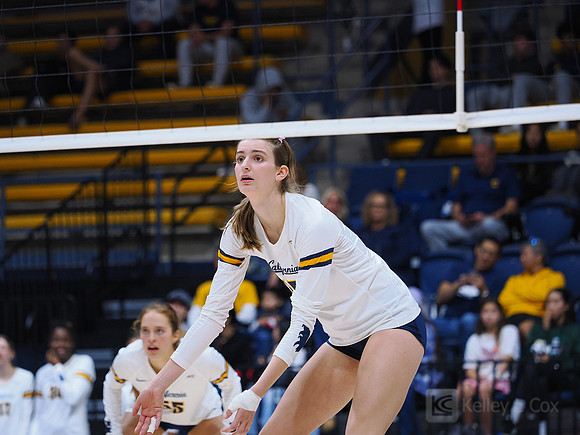 Volleyball: California Golden Bears vs Notre Dame Fighting Irish