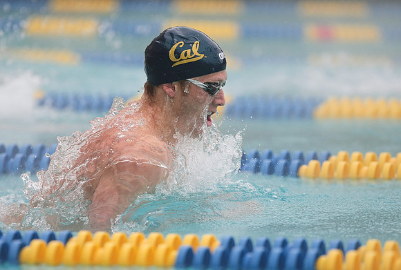 Cal Men's Swimming vs Stanford