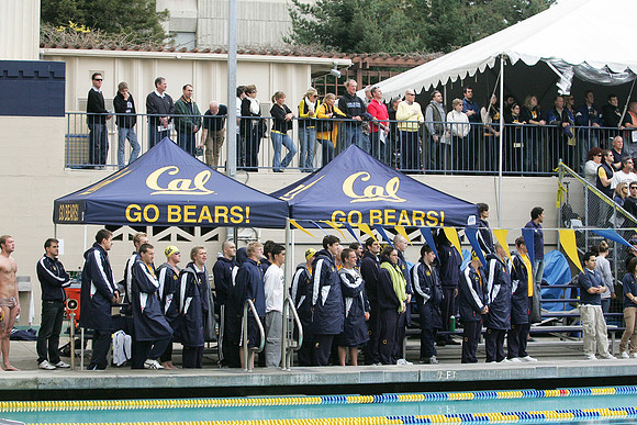 Cal Men's Swimming and Diving vs Stanford