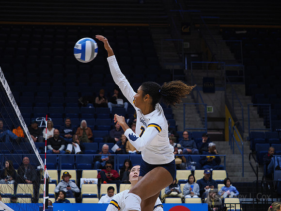 Volleyball: California Golden Bears vs Notre Dame Fighting Irish
