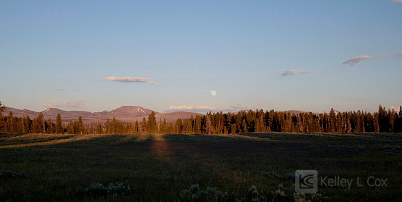 Yellowstone National Park