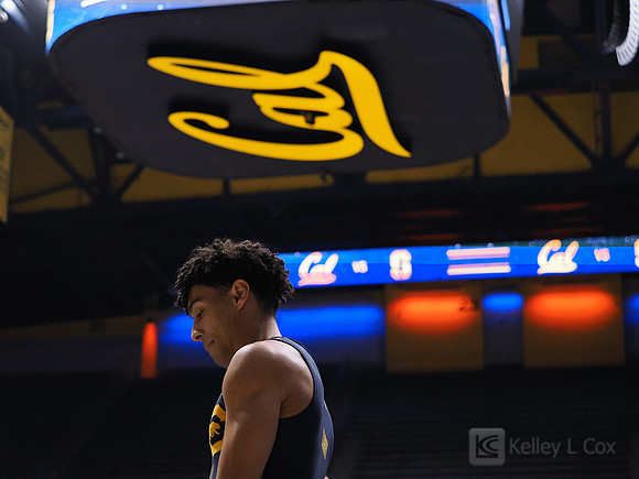 Men’s Gymnastics: California Golden Bears vs Stanford Cardinal