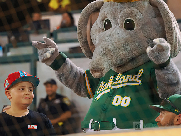 MLB: Chicago White Sox at Oakland Athletics
