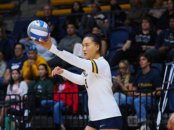 Volleyball: California Golden Bears vs Notre Dame Fighting Irish