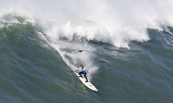 Mavericks 2010