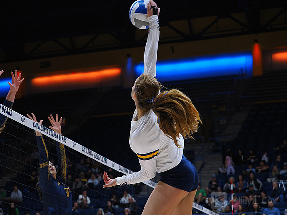 Volleyball: California Golden Bears vs Notre Dame Fighting Irish