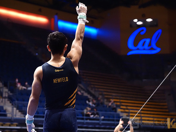 Noah Newfeld