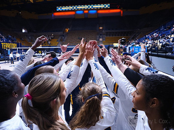 Volleyball: California Golden Bears vs Notre Dame Fighting Irish