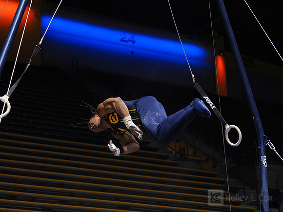 Men’s Gymnastics: California Golden Bears vs Stanford Cardinal