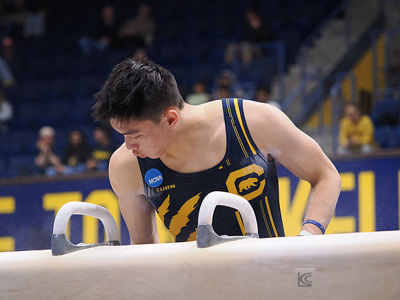 Men’s Gymnastics: California Golden Bears vs Stanford Cardinal