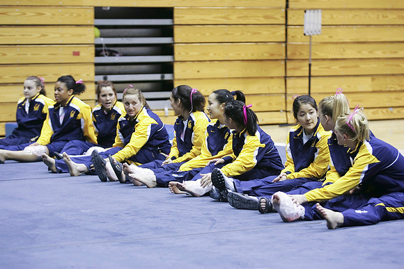 Cal Women's Gymnastics vs Stanford
