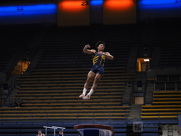 Men’s Gymnastics: California Golden Bears vs Stanford Cardinal