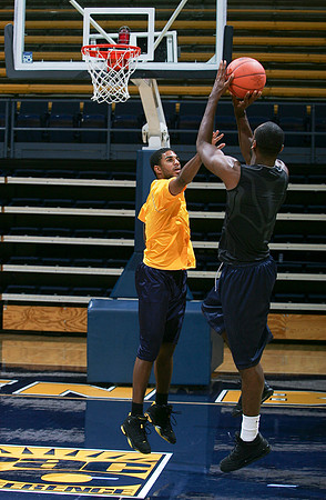 Cal Men's Basketball Practice