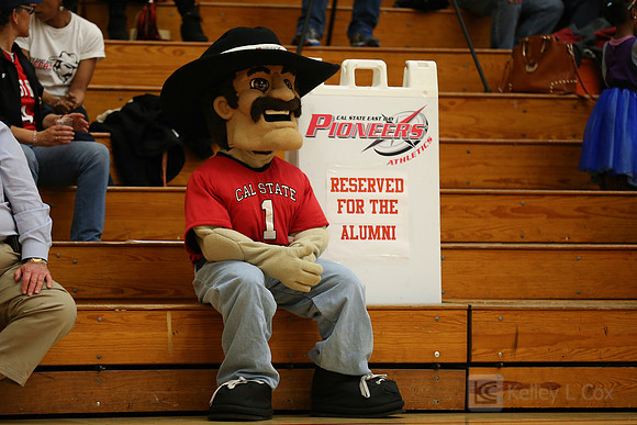 Pioneer Pete