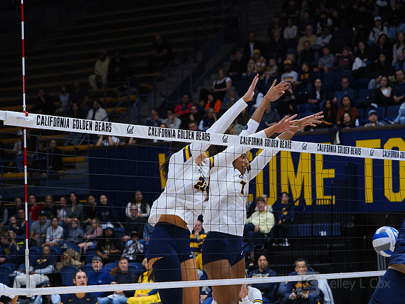 Volleyball: California Golden Bears vs Notre Dame Fighting Irish