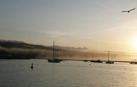 Mavericks 2010
