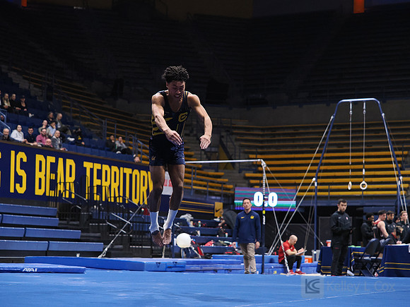 Men’s Gymnastics: California Golden Bears vs Stanford Cardinal