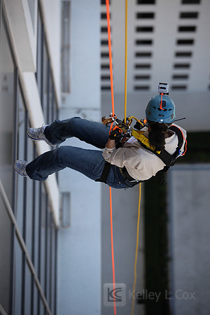 SONV: OTE 2013