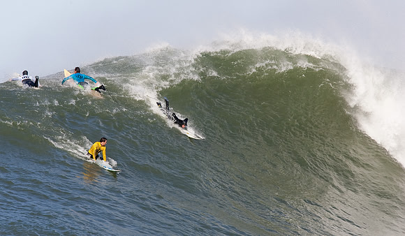 Mavericks 2010