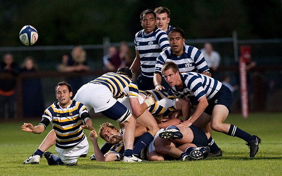 Cal Rugby vs BYU