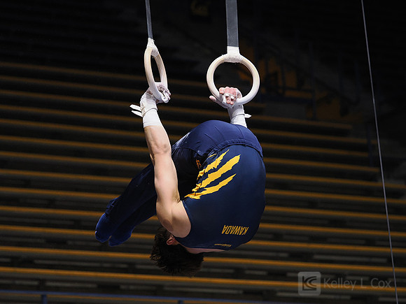Men’s Gymnastics: California Golden Bears vs Stanford Cardinal