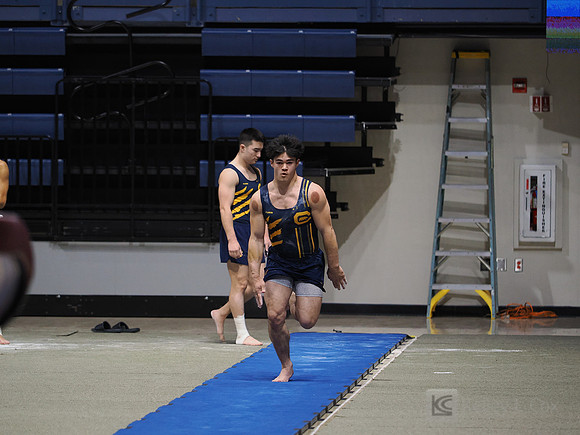 Men’s Gymnastics: California Golden Bears vs Stanford Cardinal