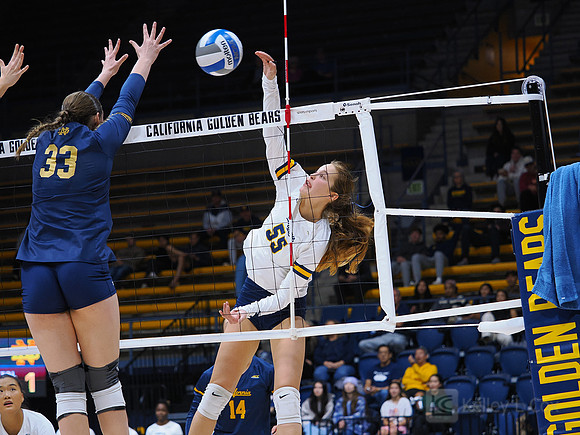 Volleyball: California Golden Bears vs Notre Dame Fighting Irish