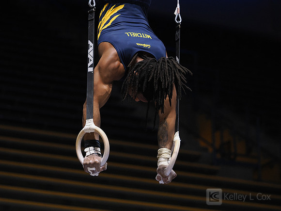 Men’s Gymnastics: California Golden Bears vs Stanford Cardinal