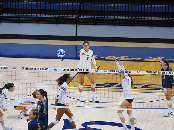 Volleyball: California Golden Bears vs Notre Dame Fighting Irish