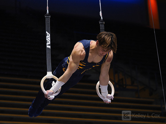 Men’s Gymnastics: California Golden Bears vs Stanford Cardinal